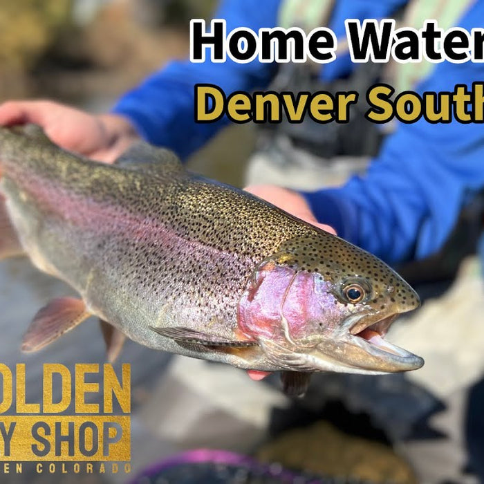 Fly Fishing the Denver South Platte | HOME WATERS: EPISODE 1