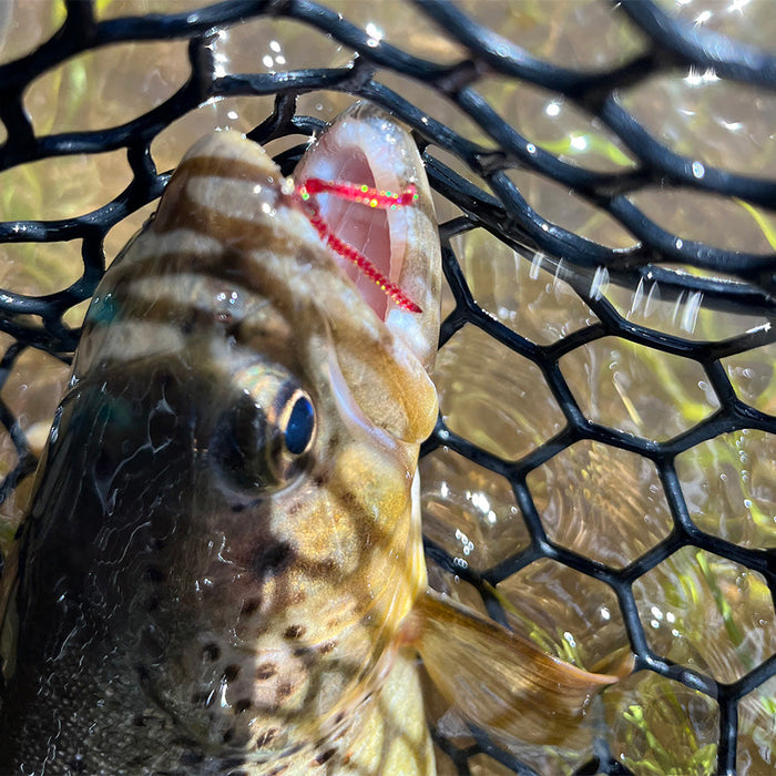 Trout eating a Sparkle Worm