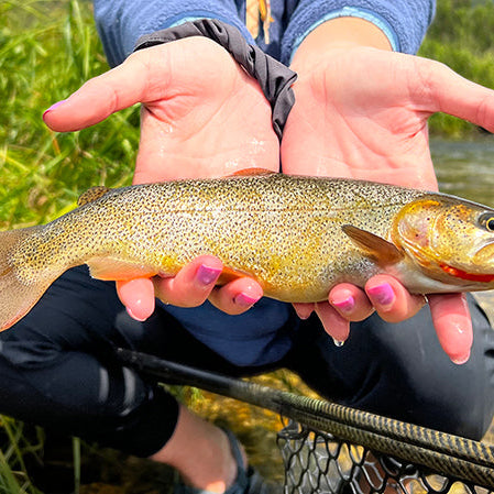 Josie with a cutty