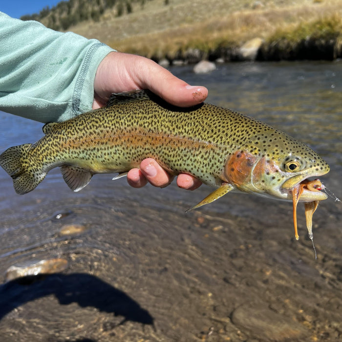 Streamer Fishing 201: It's All In The Presentation