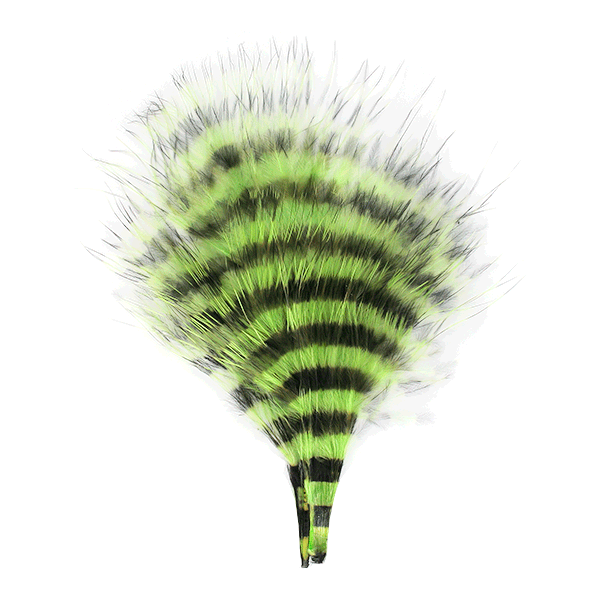 MFC Barred Marabou Blood Quill