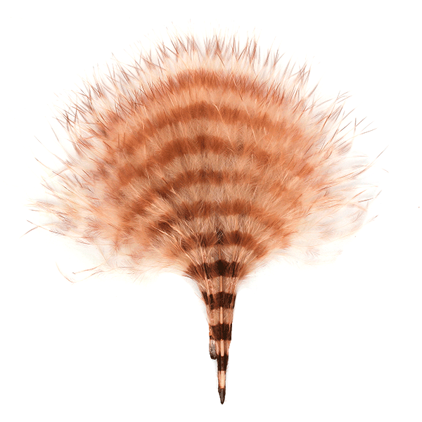 MFC Barred Marabou Blood Quill